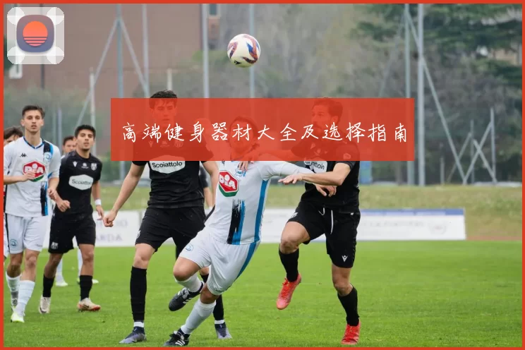 高端健身器材大全及选择指南