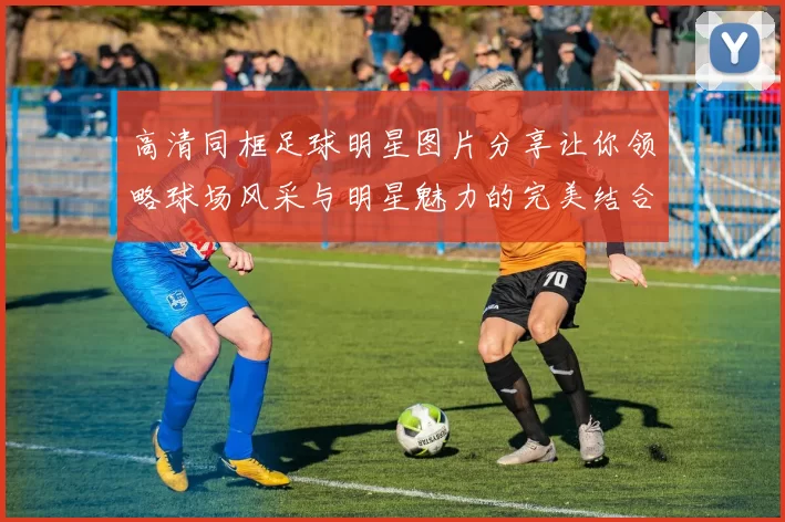 高清同框足球明星图片分享让你领略球场风采与明星魅力的完美结合