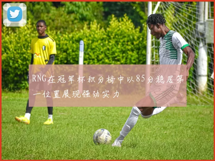 RNG在冠军杯积分榜中以85分稳居第一位置展现强劲实力