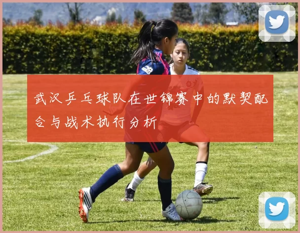 武汉乒乓球队在世锦赛中的默契配合与战术执行分析