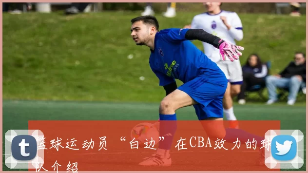 篮球运动员“白边”在CBA效力的球队介绍