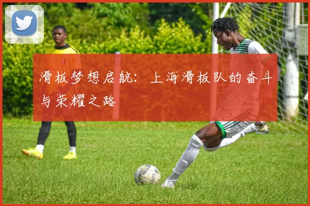 滑板梦想启航：上海滑板队的奋斗与荣耀之路