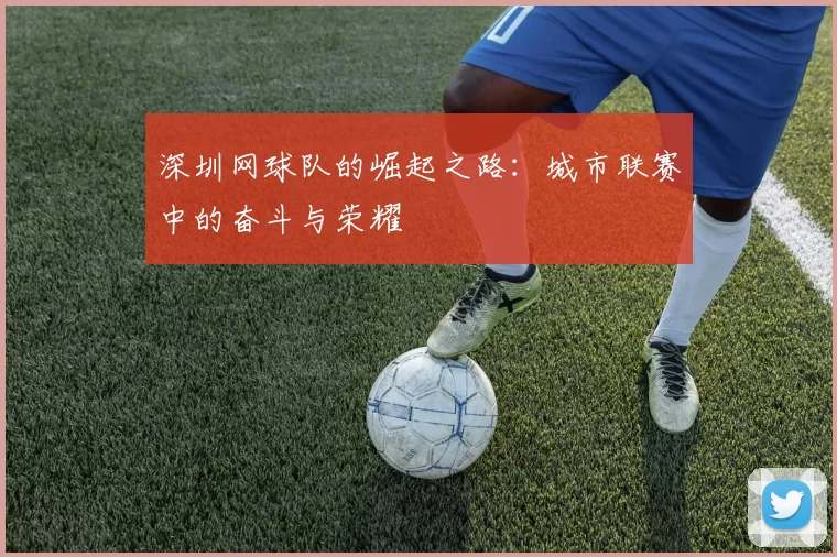 深圳网球队的崛起之路：城市联赛中的奋斗与荣耀