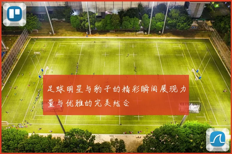 足球明星与豹子的精彩瞬间展现力量与优雅的完美结合