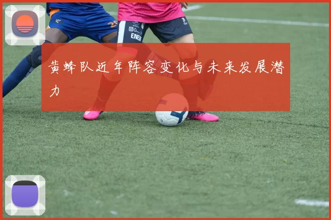 黄蜂队近年阵容变化与未来发展潜力