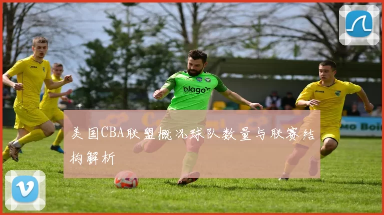 美国CBA联盟概况球队数量与联赛结构解析