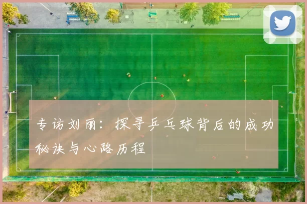 专访刘丽：探寻乒乓球背后的成功秘诀与心路历程