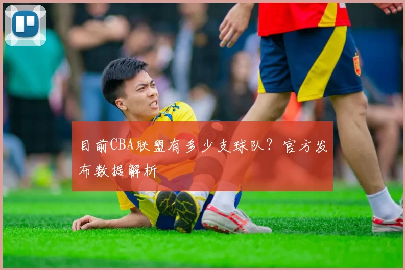 目前CBA联盟有多少支球队？官方发布数据解析