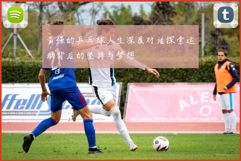 黄强的乒乓球人生深度对话探索运动背后的坚持与梦想
