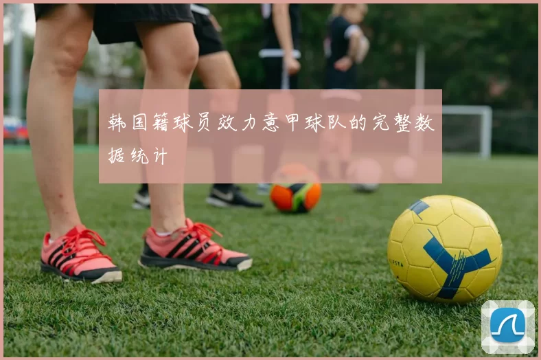 韩国籍球员效力意甲球队的完整数据统计
